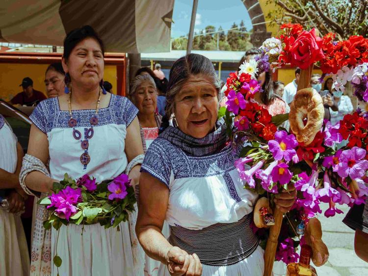 Singlereis Mexico Cultuur & Strand